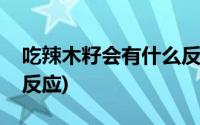 吃辣木籽会有什么反应吗(吃辣木籽会有什么反应)