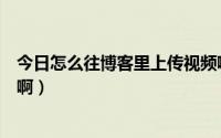 今日怎么往博客里上传视频啊抖音（怎么往博客里上传视频啊）