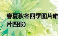 春夏秋冬四季图片唯美高清(春夏秋冬四季图片四张)