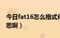 今日fat16怎么格式化（FAT16格式是什么意思啊）