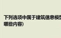 下列选项中属于建筑信息模型(建筑工程信息模型的信息包括哪些内容)