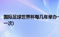 国际足球世界杯每几年举办一次(国际足联世界杯每几年举办一次)