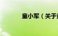 童小军（关于童小军的介绍）