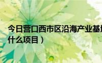 今日营口西市区沿海产业基地（营口沿海产业基地现在都有什么项目）