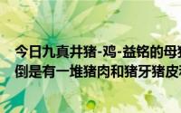 今日九真井猪-鸡-益铭的母猪打了半天也没打出来什么猪血倒是有一堆猪肉和猪牙猪皮和猪血。