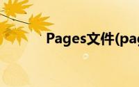 Pages文件(pages文件阅读器)