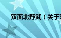 双面北野武（关于双面北野武的介绍）