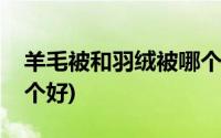 羊毛被和羽绒被哪个好点(羊毛被和羽绒被哪个好)