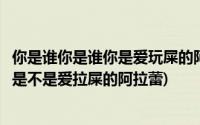 你是谁你是谁你是爱玩屎的阿拉蕾歌词(歌词你是谁你是谁你是不是爱拉屎的阿拉蕾)