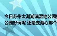 今日苏州太湖湖滨湿地公园好玩吗（苏州的太湖是太湖湿地公园好玩呢 还是去湖心那个岛上好玩）