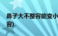 鼻子大不整容能变小吗(鼻子大怎么变小不整容)