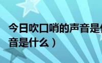 今日吹口哨的声音是什么声音（吹口哨时的声音是什么）