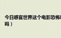 今日感官世界这个电影恐怖吗观看（感官世界这个电影恐怖吗）