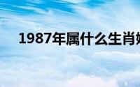 1987年属什么生肖婚配(1987年属什么)