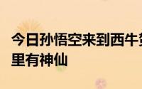 今日孙悟空来到西牛贺洲遇到一樵夫告诉他哪里有神仙