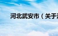 河北武安市（关于河北武安市的介绍）