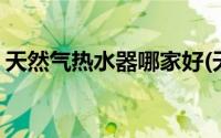 天然气热水器哪家好(天然热水器哪个牌子好)