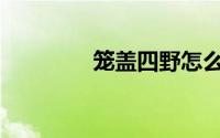 笼盖四野怎么写(笼盖四野)