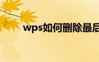 wps如何删除最后一页空白页word