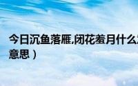 今日沉鱼落雁,闭花羞月什么意思（沉鱼落雁休花闭月是什么意思）