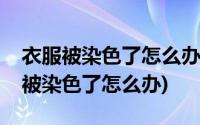 衣服被染色了怎么办怎样才能快速去除(衣服被染色了怎么办)