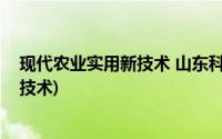 现代农业实用新技术 山东科学技术出版社(现代农业实用新技术)