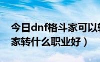 今日dnf格斗家可以转什么职业（dnf女格斗家转什么职业好）