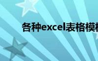 各种excel表格模板(excel表格模版)