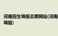 河南招生填报志愿网站(河南普通高校招生考生服务平台志愿填报)