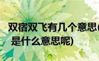 双宿双飞有几个意思(ldquo 双宿双飞 rdquo 是什么意思呢)