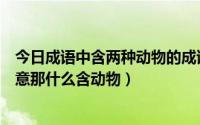 今日成语中含两种动物的成语（什么含动物的成语喻三心二意那什么含动物）