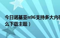 今日诺基亚n96支持多大内存卡（诺基亚N96没有内存卡怎么下载主题）