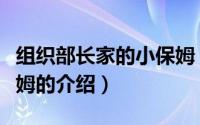 组织部长家的小保姆（关于组织部长家的小保姆的介绍）