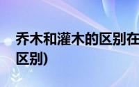 乔木和灌木的区别在什么地方(乔木和灌木的区别)