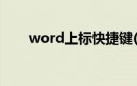 word上标快捷键(word下标快捷键)