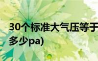 30个标准大气压等于多少pa(标准大气压等于多少pa)