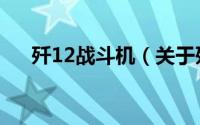 歼12战斗机（关于歼12战斗机的介绍）