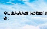 今日山东省东营市动物园门票多少钱（东营动物园门票多少钱）