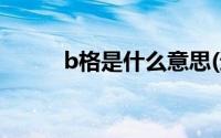 b格是什么意思(逼格是什么意思)