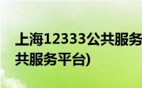 上海12333公共服务平台网站(上海12333公共服务平台)