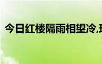 今日红楼隔雨相望冷,珠箔漂灯独自归的意思