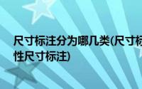 尺寸标注分为哪几类(尺寸标注有两种类型分别是( )和永久性尺寸标注)