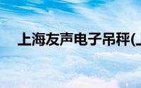 上海友声电子吊秤(上海友声电子秤官网)