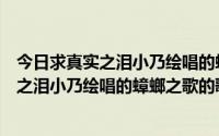 今日求真实之泪小乃绘唱的蟑螂之歌的歌词是什么（求真实之泪小乃绘唱的蟑螂之歌的歌词）