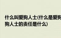 什么叫爱狗人士(什么是爱狗人士 为什么会出现这一情况 爱狗人士的责任是什么)