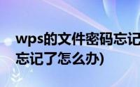 wps的文件密码忘记了怎么办(wps文件密码忘记了怎么办)