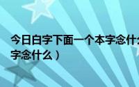 今日白字下面一个本字念什么字（上面一个白字下面一个本字念什么）