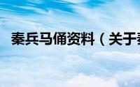 秦兵马俑资料（关于秦兵马俑资料的介绍）