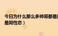 今日为什么那么多帅哥都是同性恋呢（为什么那么多帅哥都是同性恋）