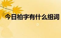 今日柏字有什么组词（柏字的组词有哪些）